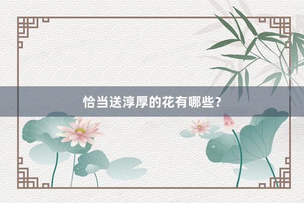 恰当送淳厚的花有哪些？