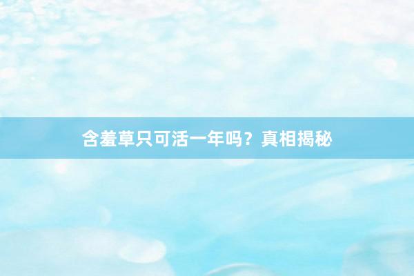含羞草只可活一年吗？真相揭秘